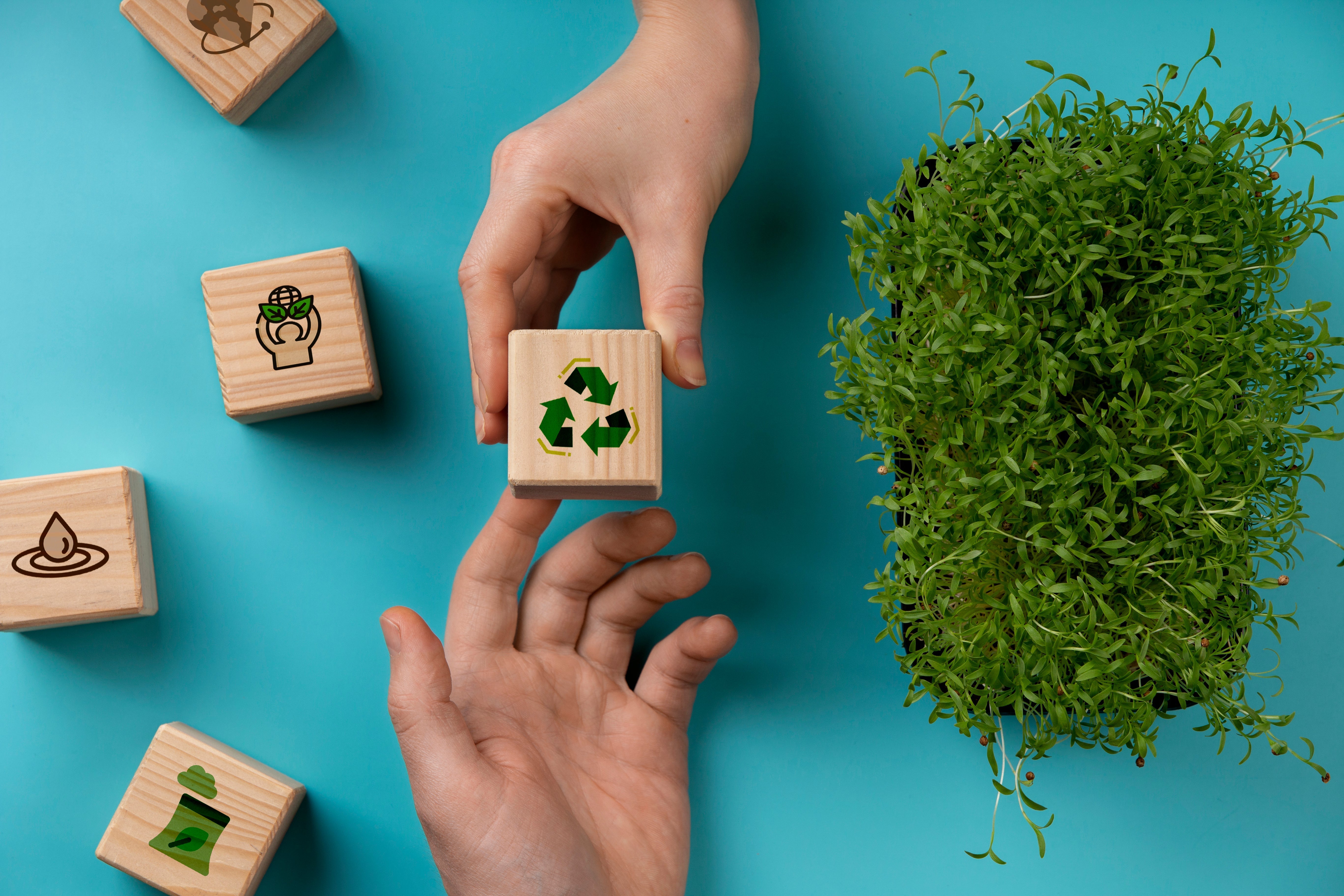 ¿Puede la sostenibilidad mejorar tu rendimiento en running? 🌱 [7 descubrimientos sorprendentes]